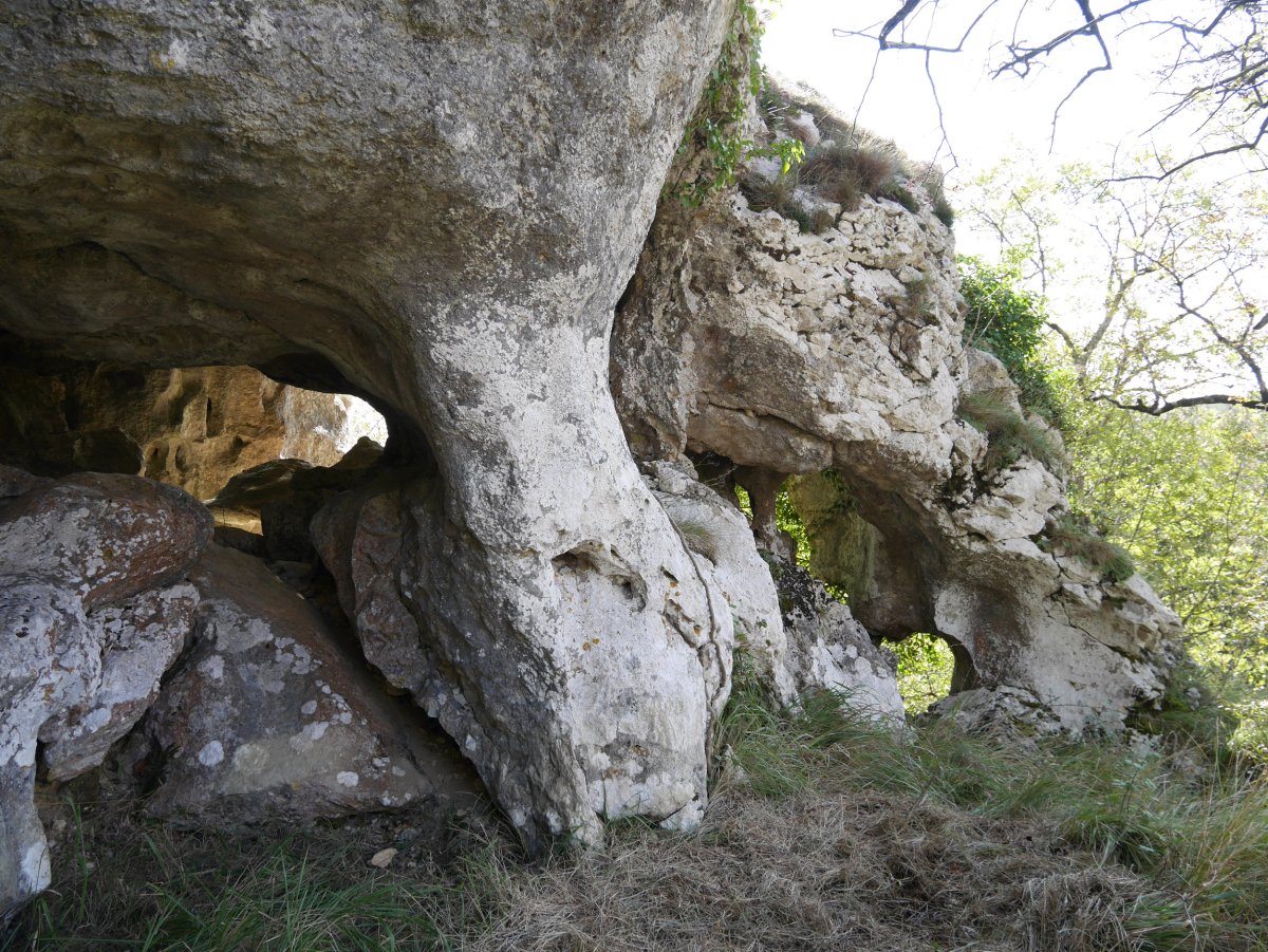 Lehenengo galeriaren sarrerak