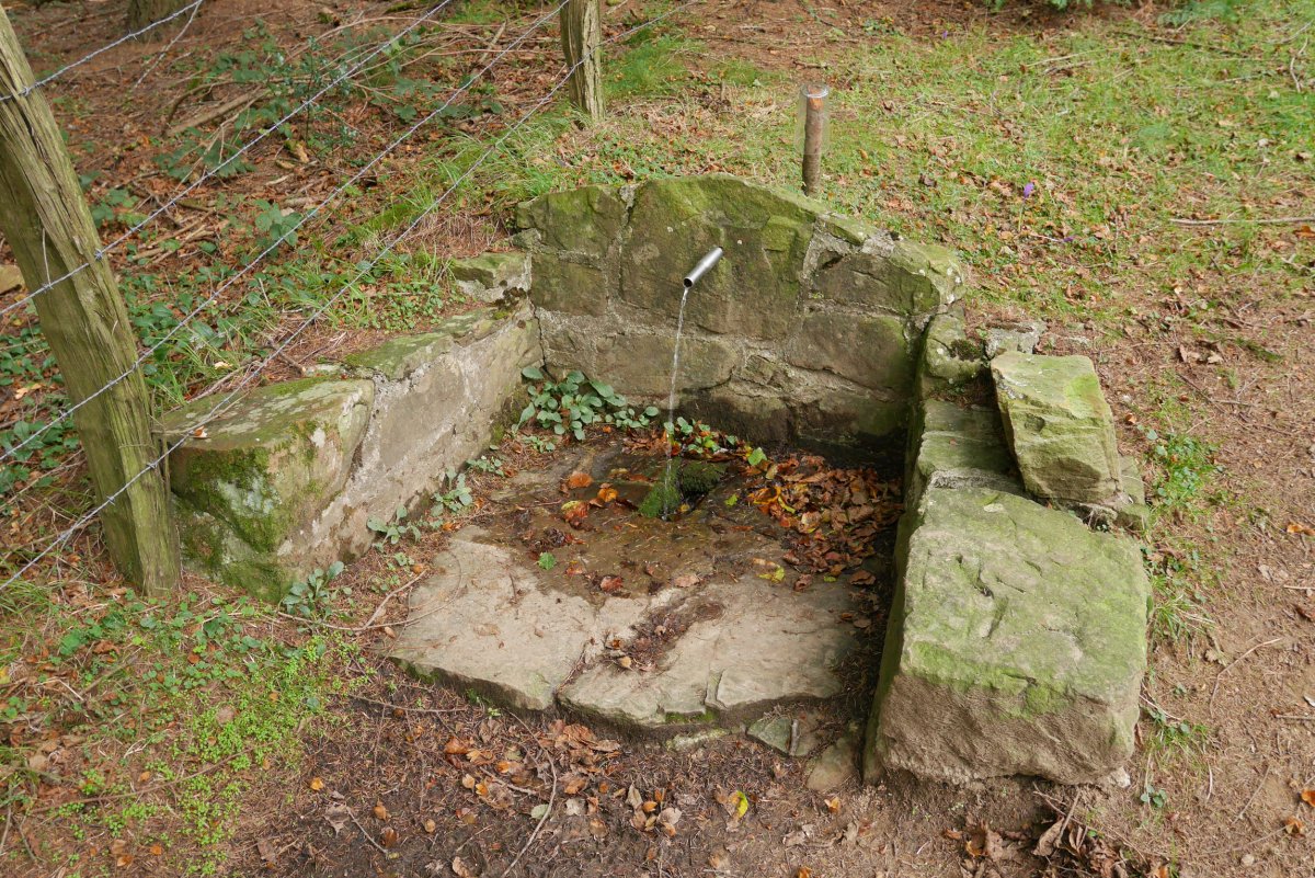 Iturria Añabasoko igoeran