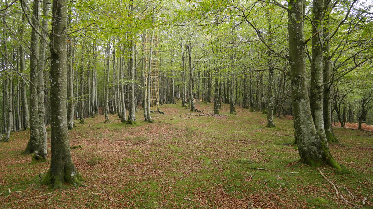 Añabaso gaineko pagadia