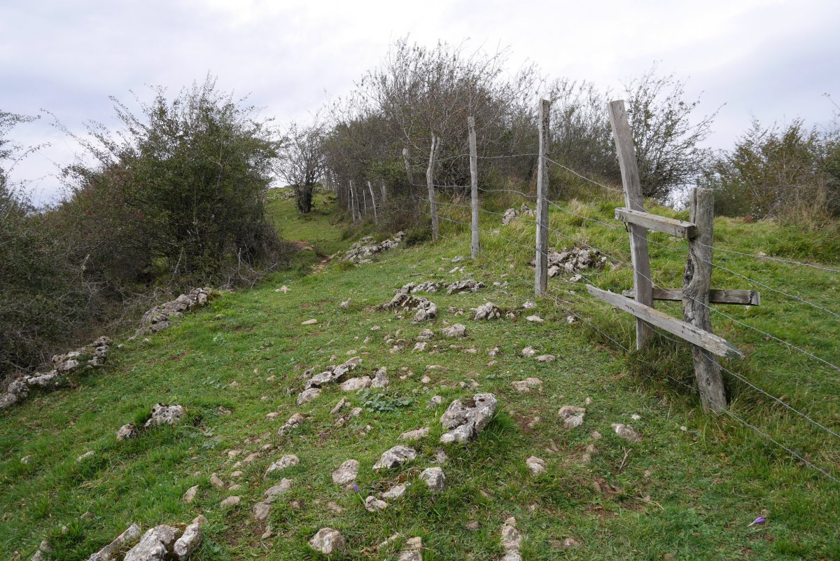 Tontorrera heltzen Ekialdetik