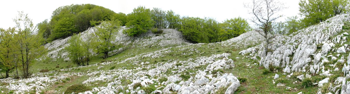 Ekialdeko gandorreko pasartea