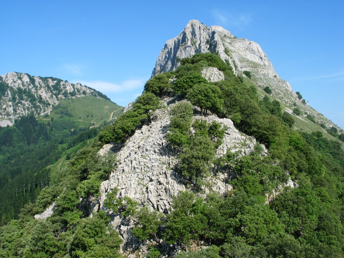 Ekialdeko gandorretik