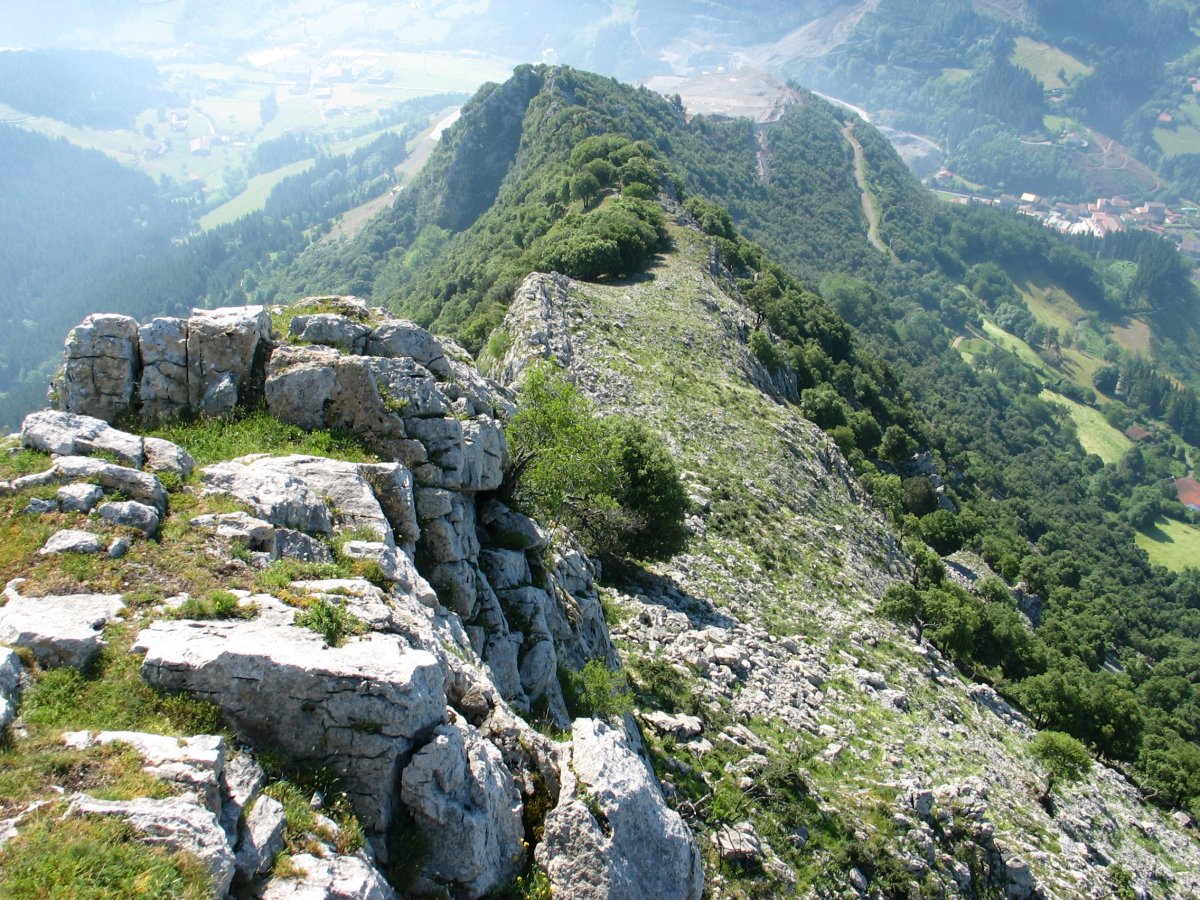 Ekialdeko gandorra, Atxurkulutik behera