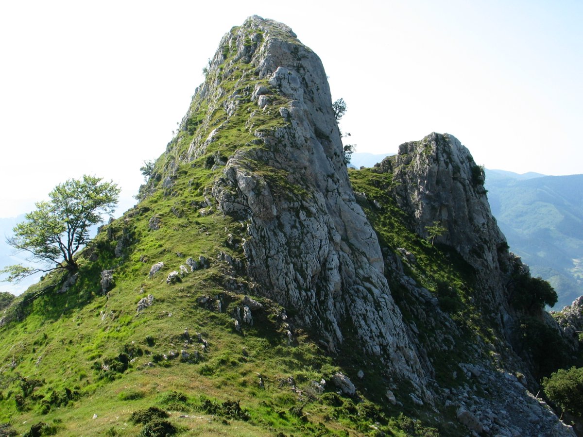 Atxurkulu haitza Mtik ikusita
