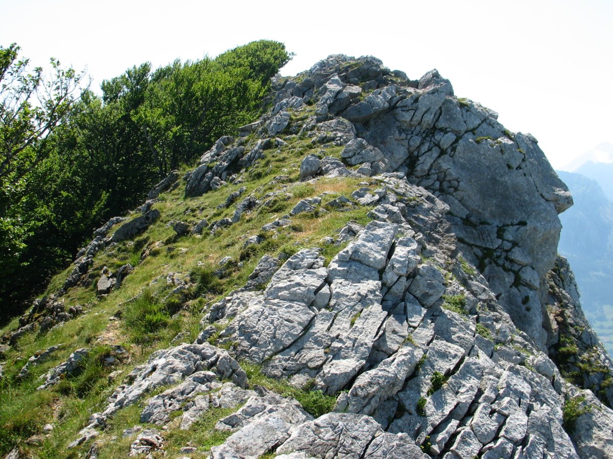 Mko gandorra goi aldean