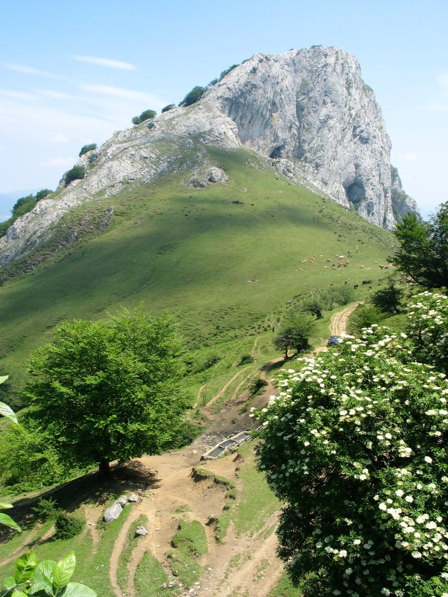 Mtik ikusita, Munarrikolanda aldetik