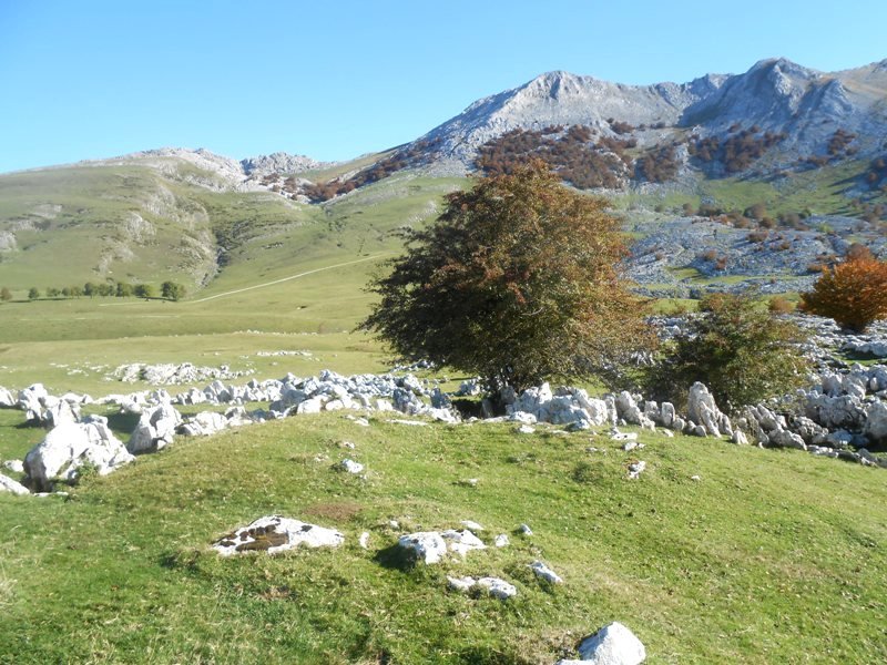 Kalparmuñobarrena 1 tumulua