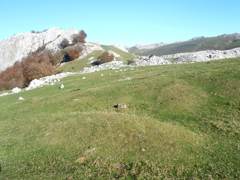 bolaleku etxola hondoa