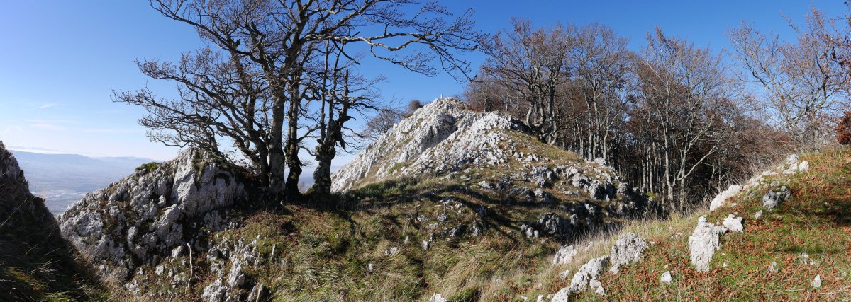 Umandia Ekialdeko gandorretik