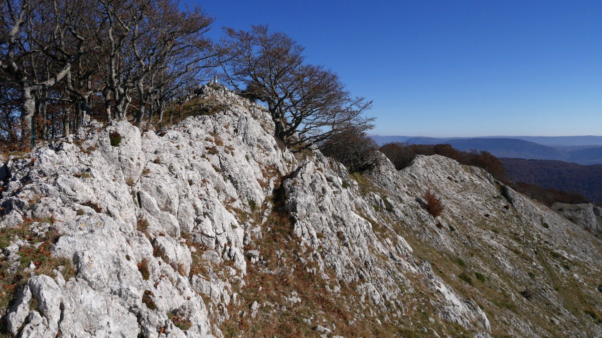 Umandia tontorra Mendebaldetik