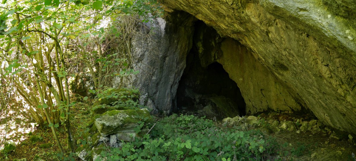 Atxipi leizearen sarrera