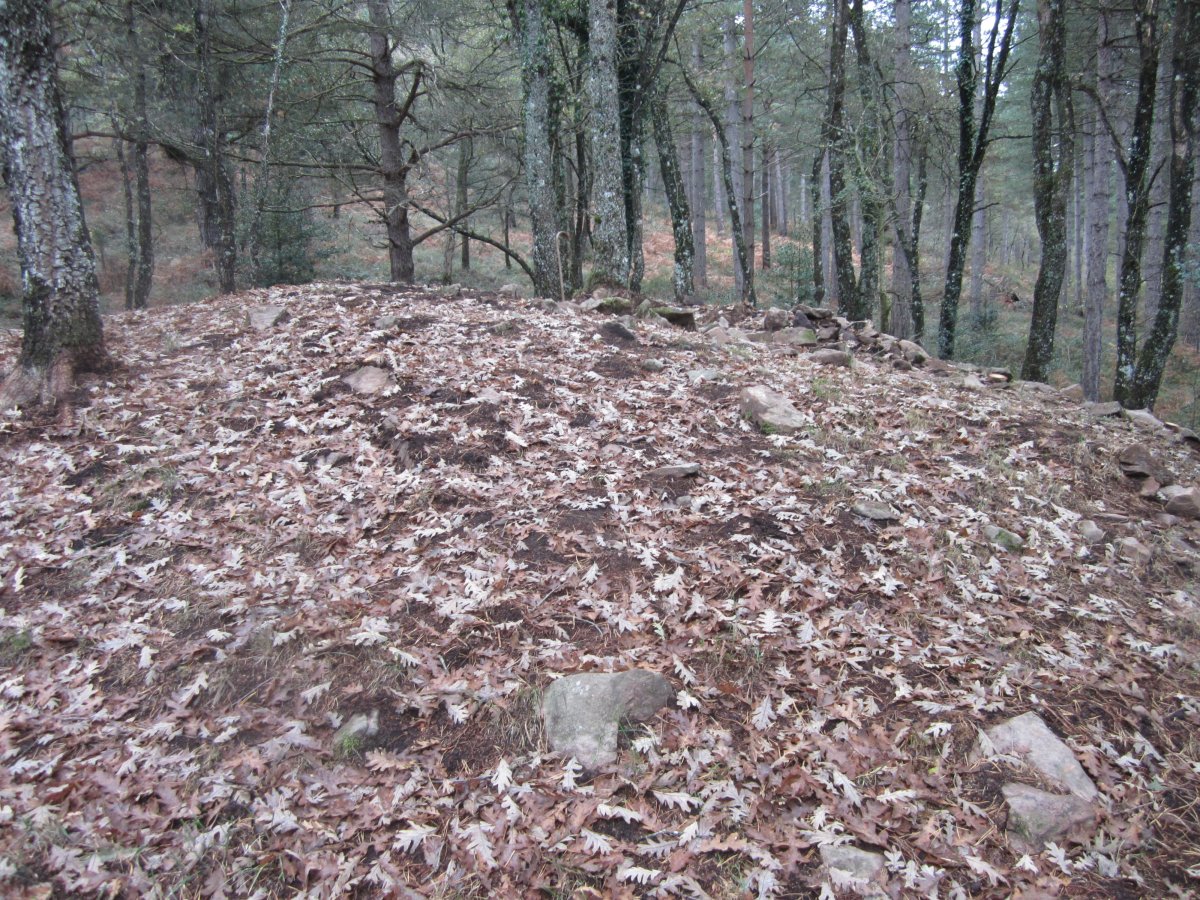 Dólmen Artabilla 1  (Noviembre 2016)