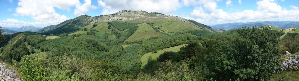 Mendikutetik ikusita