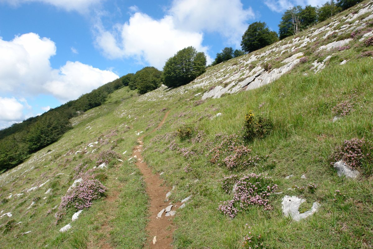 Bidea hegoaldeko isurialdean zehar