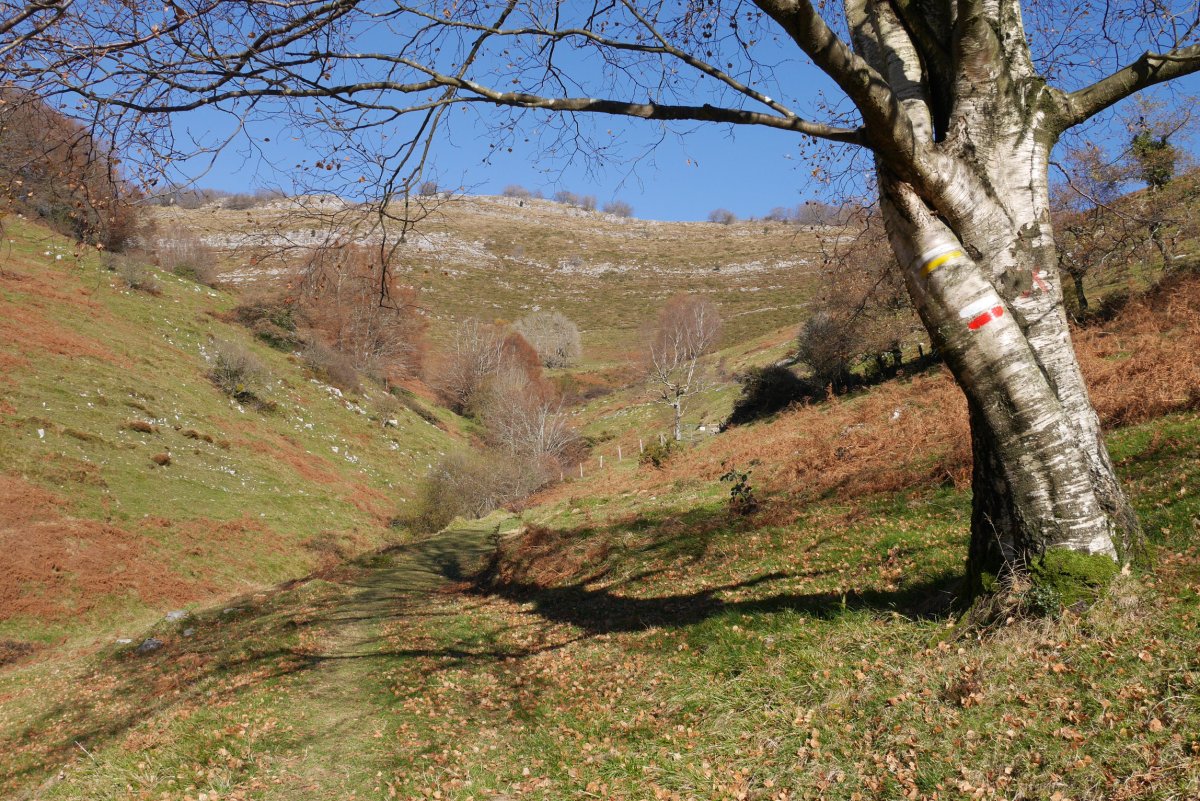 GR bidearen arrastoak igoeran