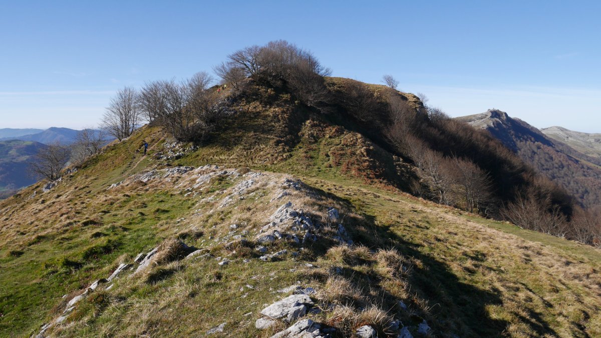 Ekialdeko bizkarreko bidea