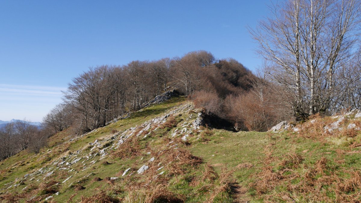 Olarretako lepoa, Herniozabal eta Uraitz artean