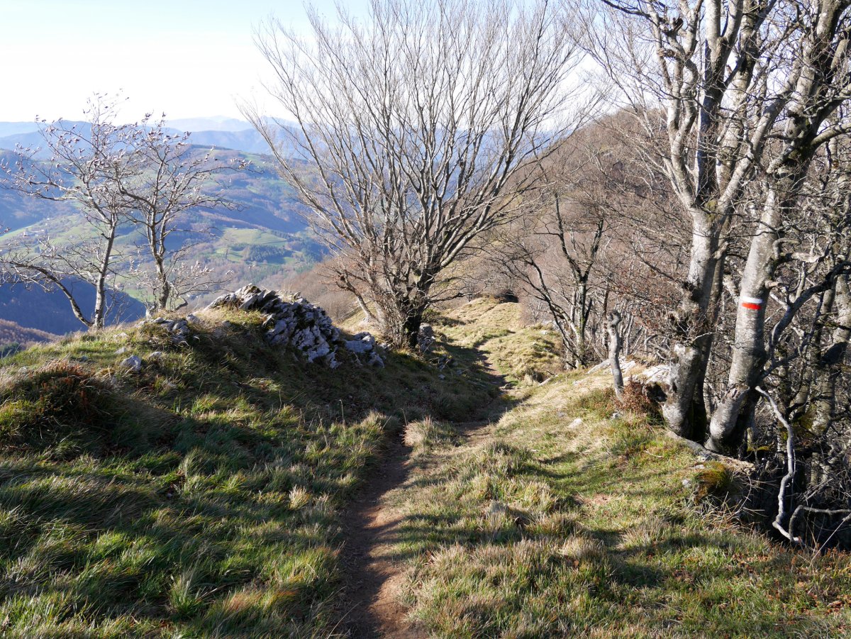Uraitzetik Ezkurragara jaisten