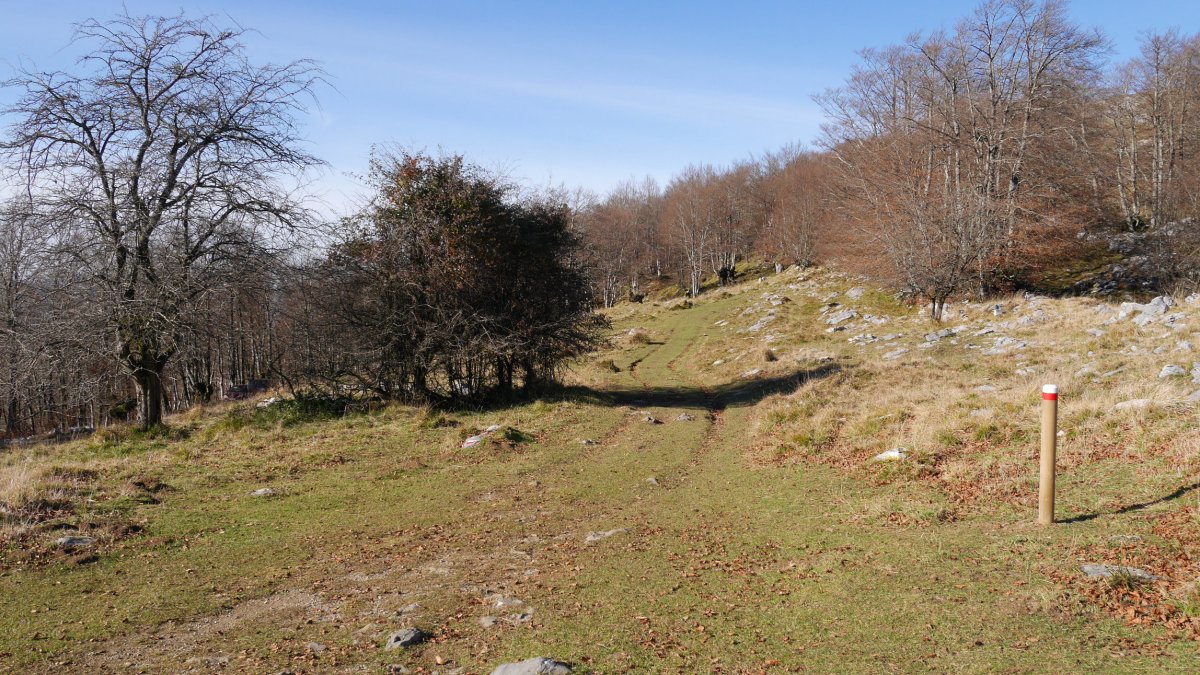 Ezkurraga lepoa, Aizpel eta Uraitz artean