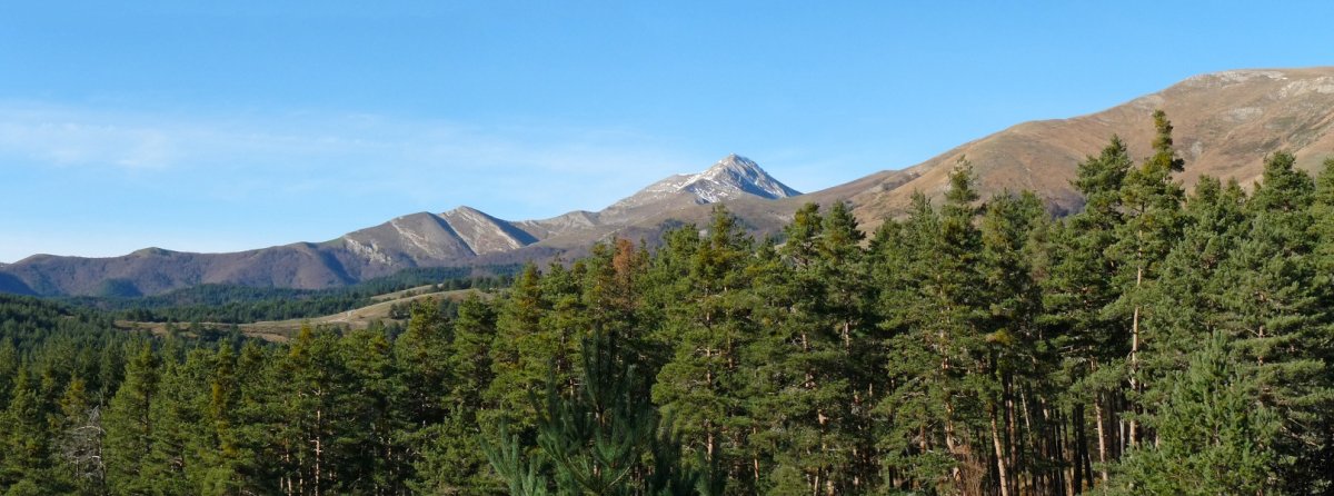 Orhi, pinudien gainetik ageri