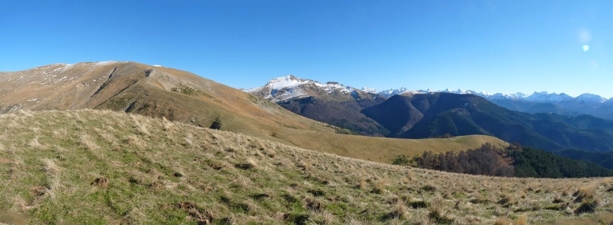Goienburuko gailurra, Otsogorrigainaren begiradapean
