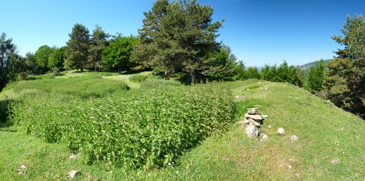 Gaztuluzarraren ipar gailurra