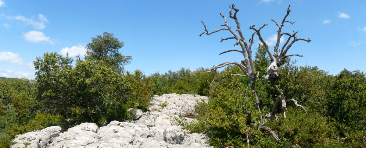 Zerrun mendiko gainaldea, lapiaz batek hartuta