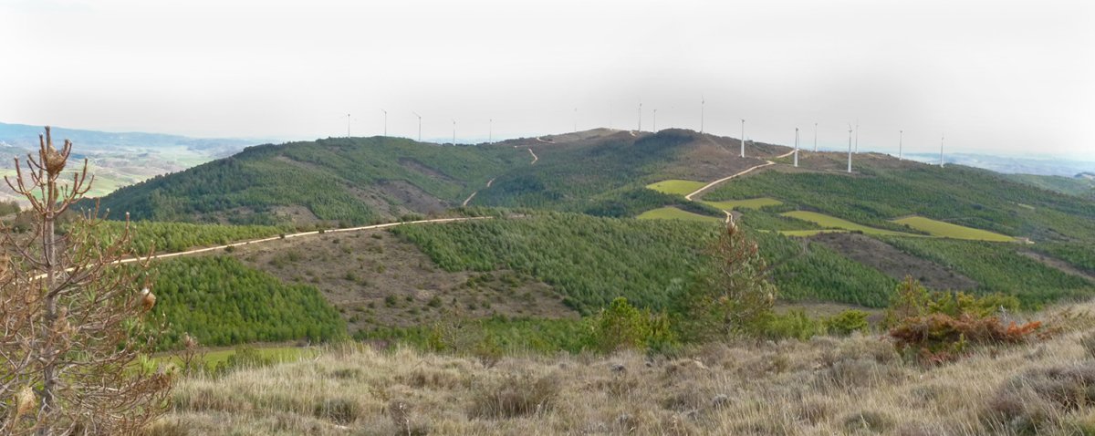 Peñahincadako bizkarra