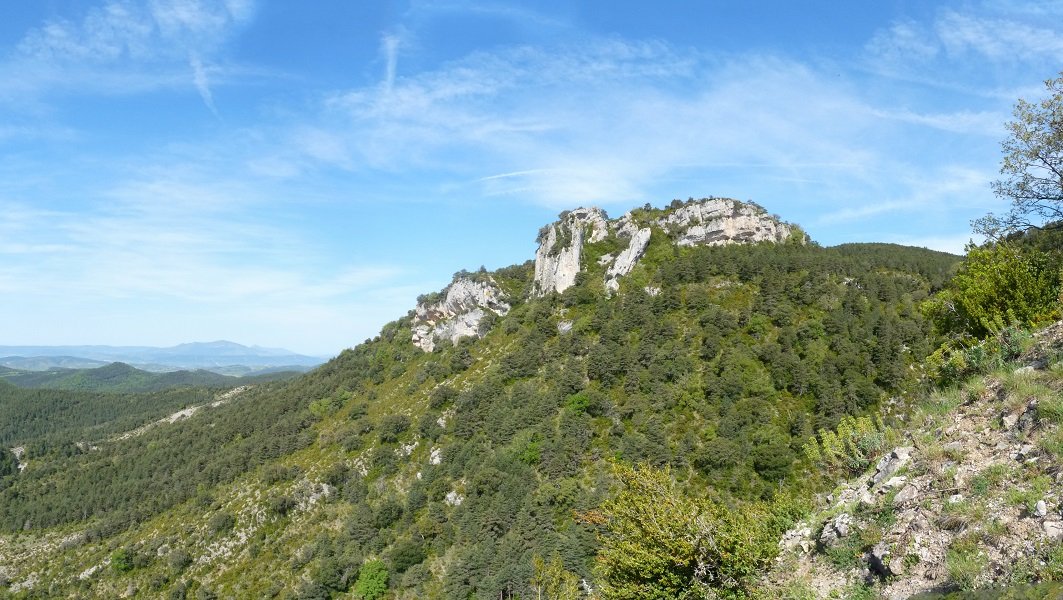 Lezape harria, Adoaingo bideko zaindaria