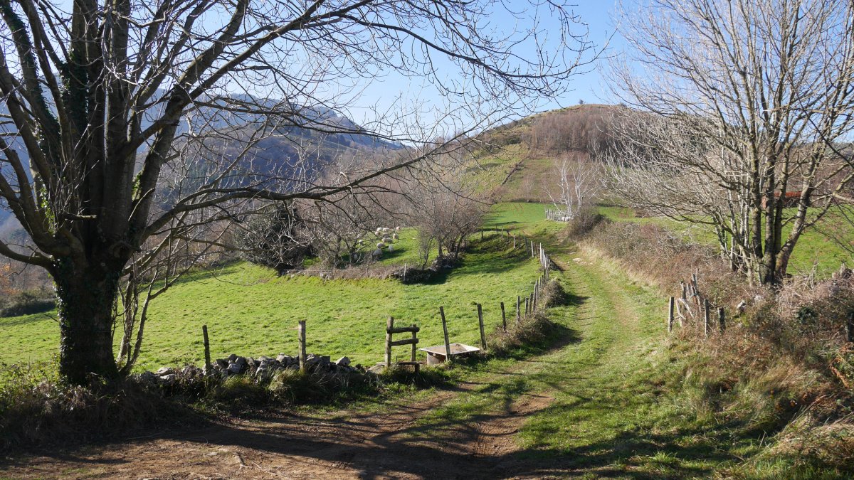 Mugallegi (Mullegi) Lizarzelaizabal lepotik