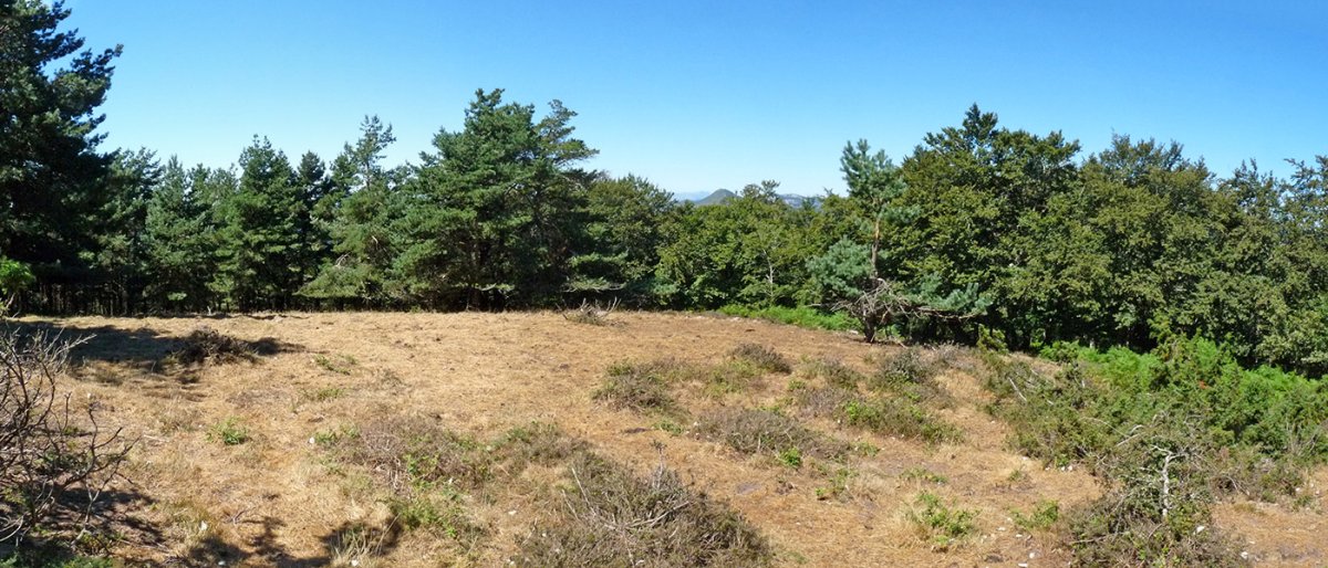 Learpuruko gainaldea