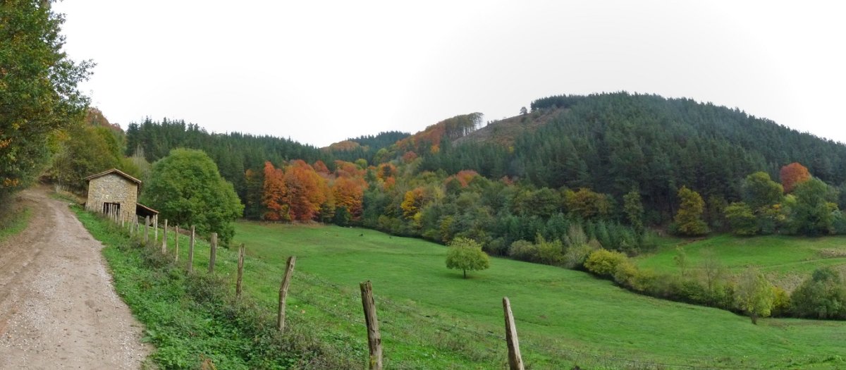 Astotza gaina, Errazkingo bidetik