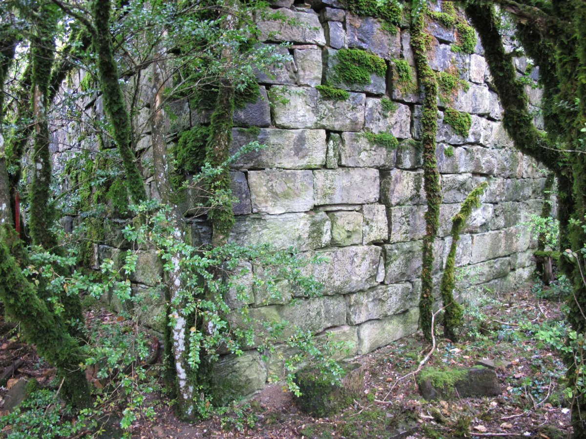 Santa Engrazia ermitaren hondakinak, Espartza