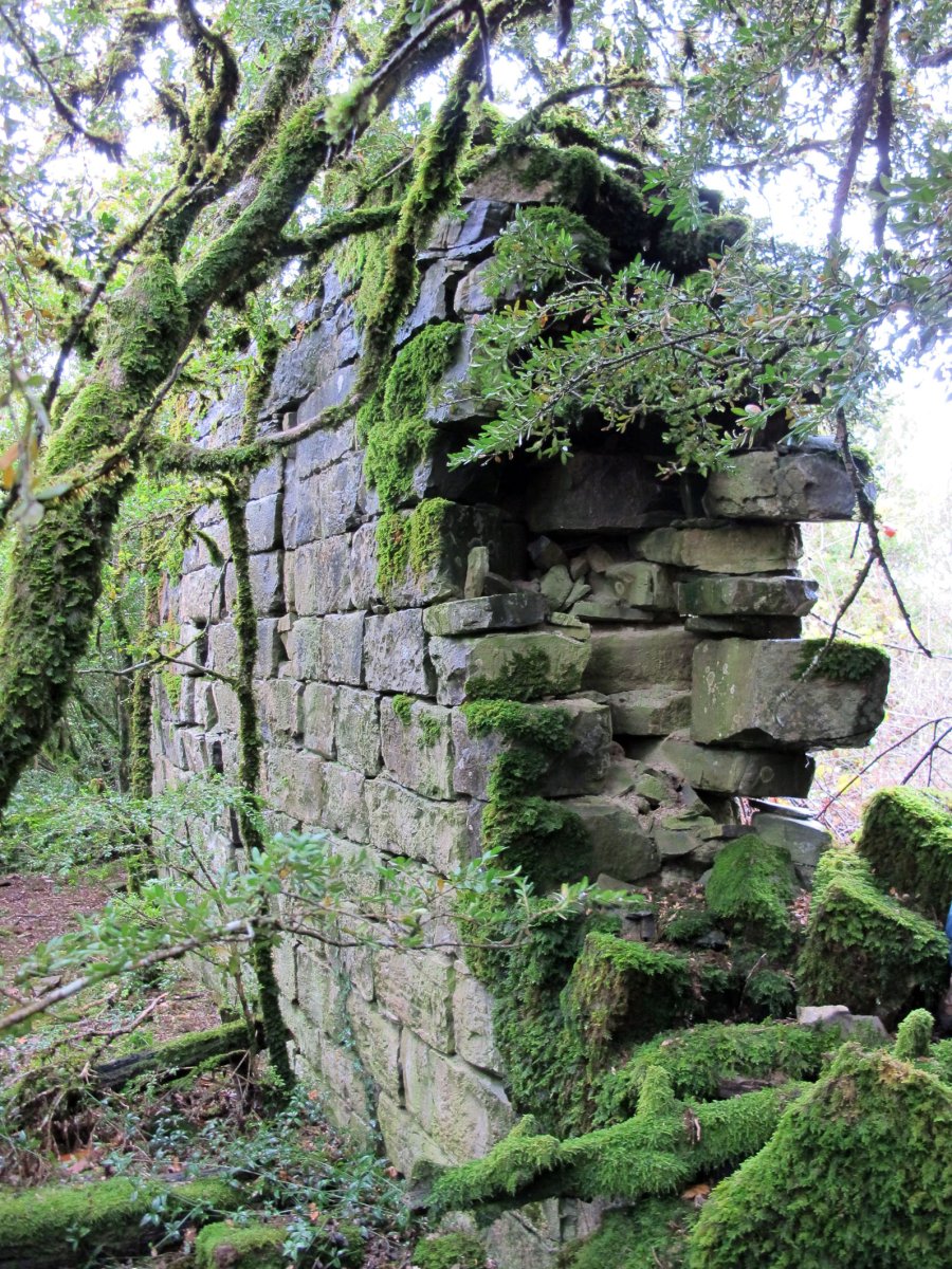 Santa Engrazia ermitaren hondakinak, Espartza