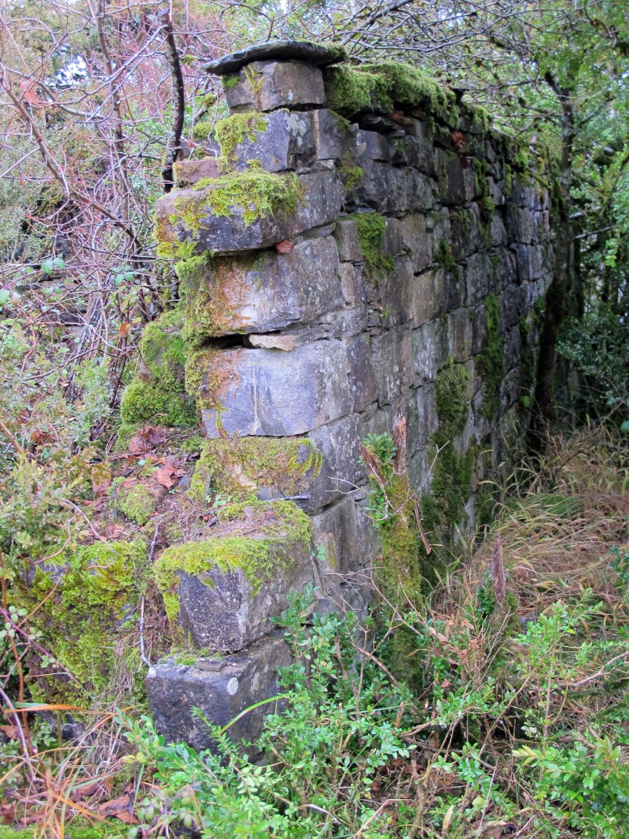 Santa Engrazia ermitaren hondakinak, Espartza