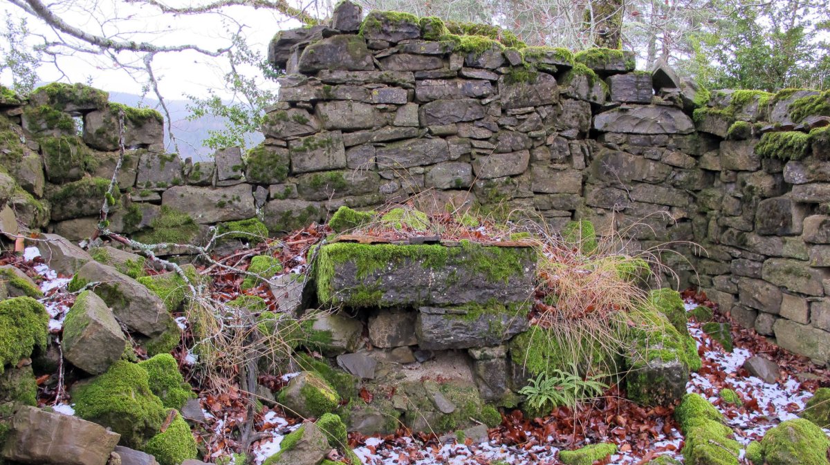 Santa Kruz ermitaren hondakinak, Orontze