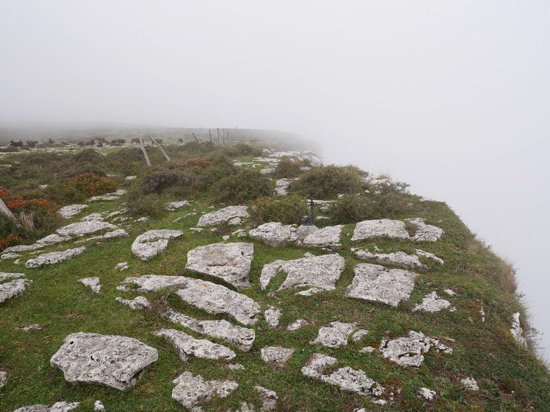 Bedarbideko tontorra