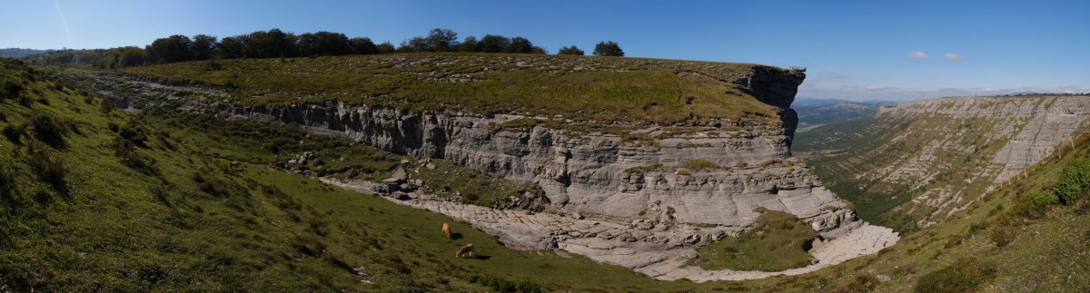 Ur-jauziaren burua urik gabe