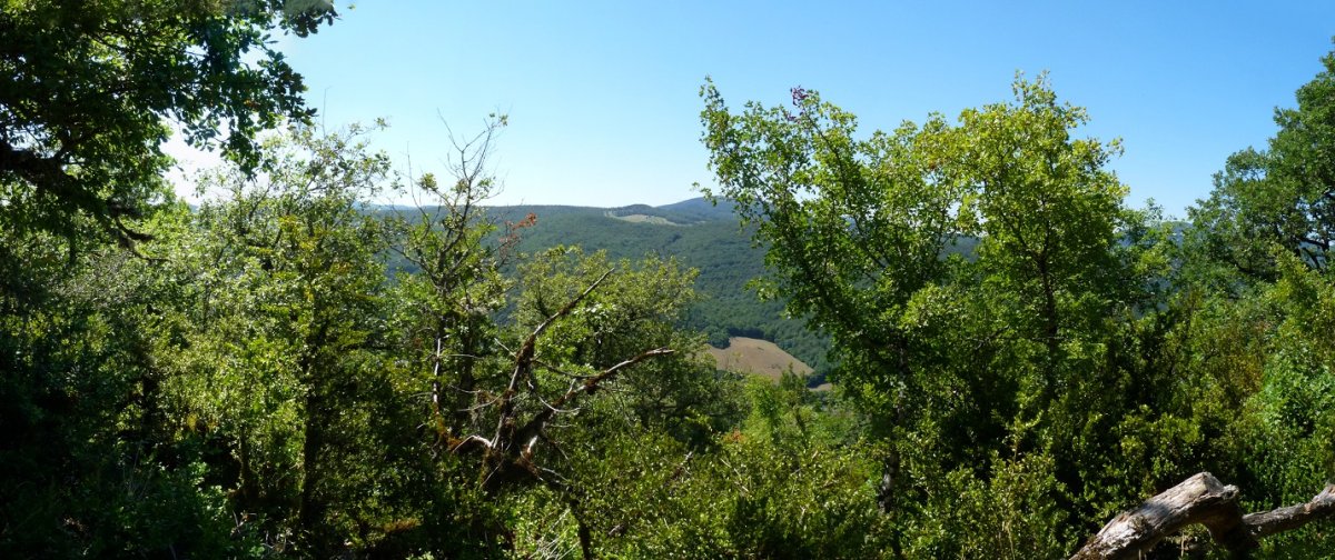 Ikuspegi mugatuak gainaldetik