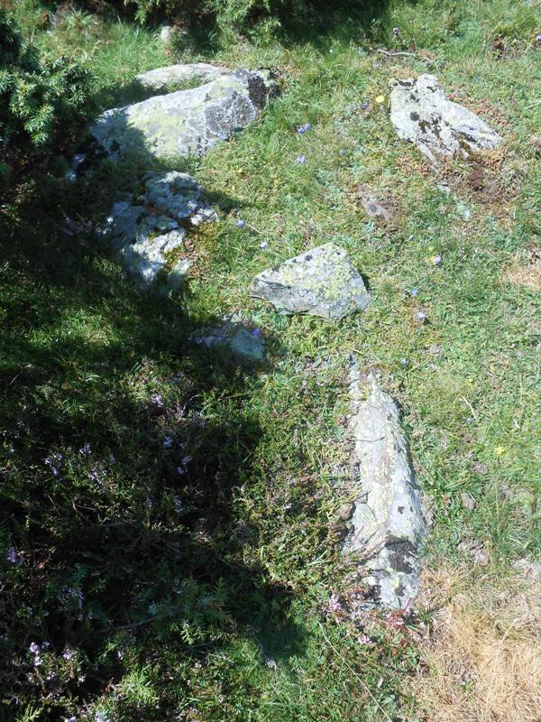 Soussoueou trikuharria