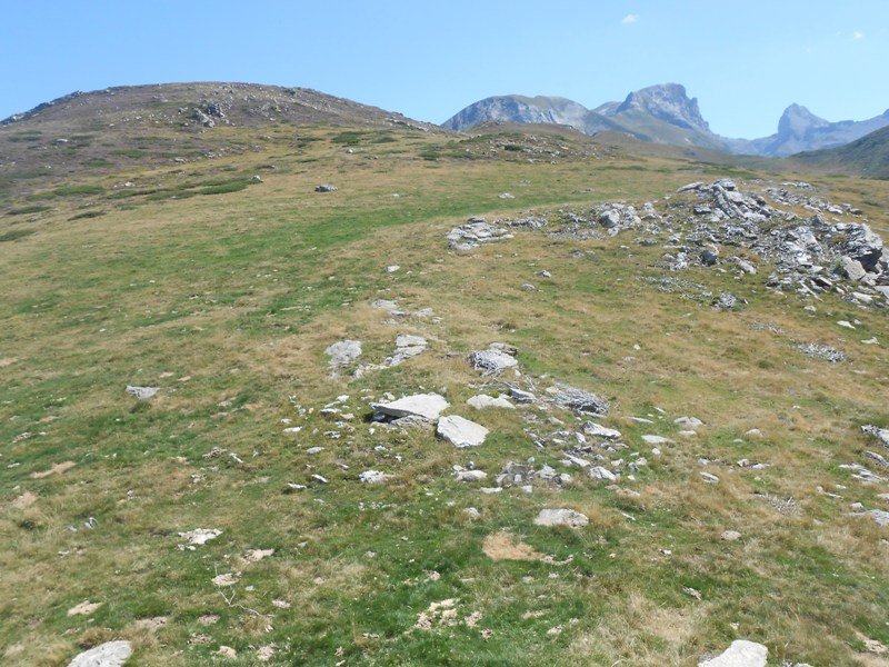 Gourzy 5 trikuharria