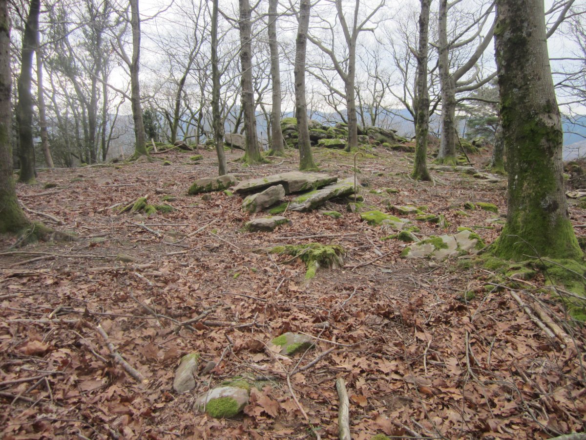 Dólmen Bistarri  (Febrero  2017)