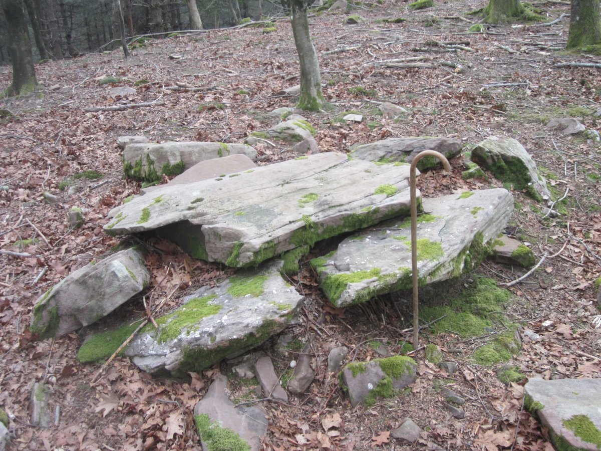 Dólmen Bistarri  (Febrero  2017)