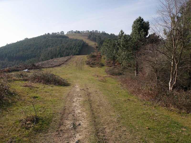 Iparraldetik ikusita