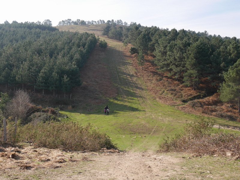 Iparraldetik ikusita