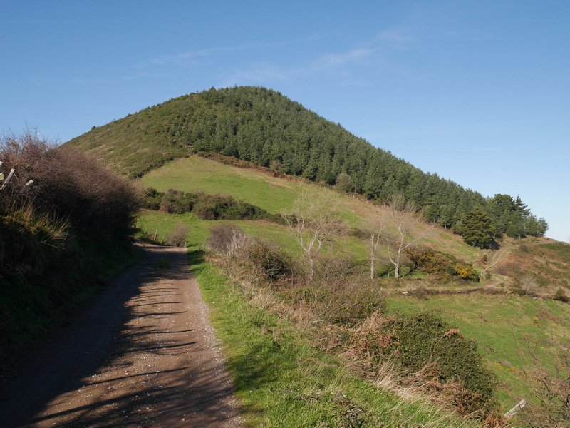 Hego-ekialdetik ikusita