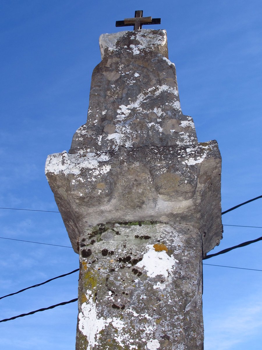 Kruzeroa Muskilda, Otsagabia