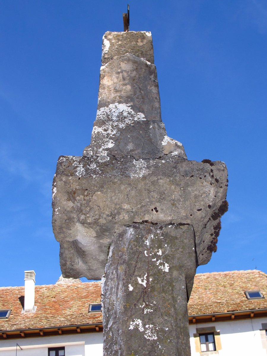 Kruzeroa Muskilda, Otsagabia