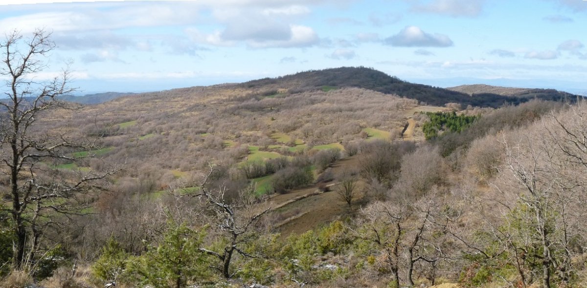 Puig Perero iparraldetik