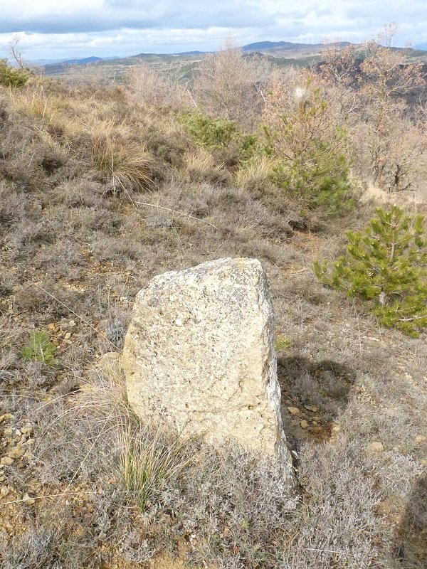 Zutarri itxurako harri bat Puig Pereroren hegian